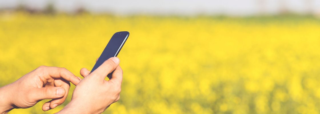 Web & Réseaux sociaux Web & Réseaux sociaux